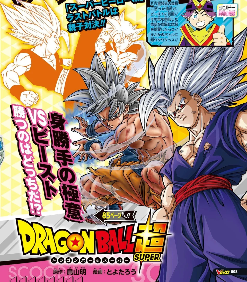 Dragon Ball Super manga goes on hiatus