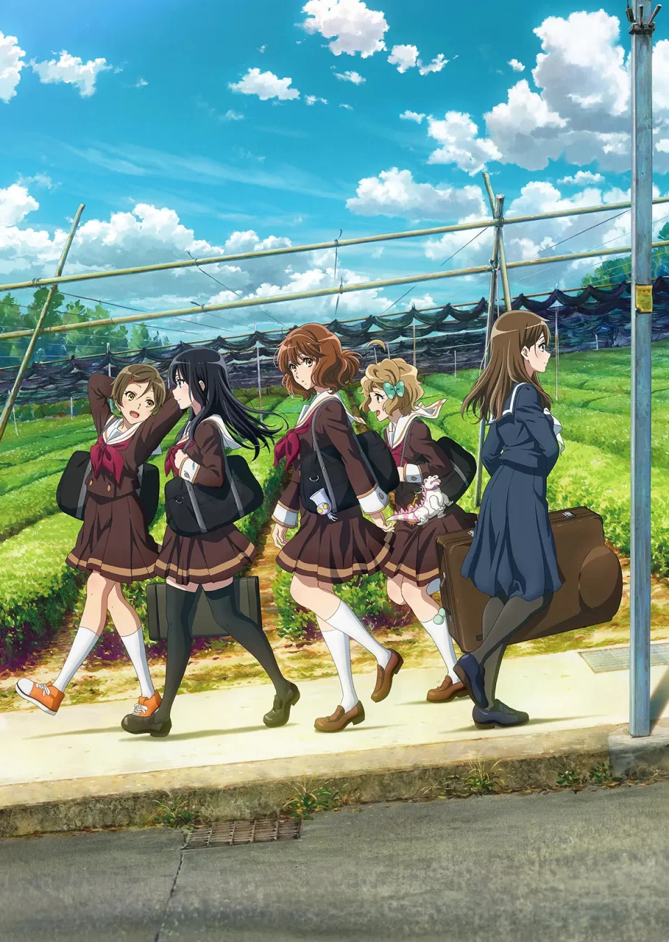 Sound! Euphonium Season 3: All the info!