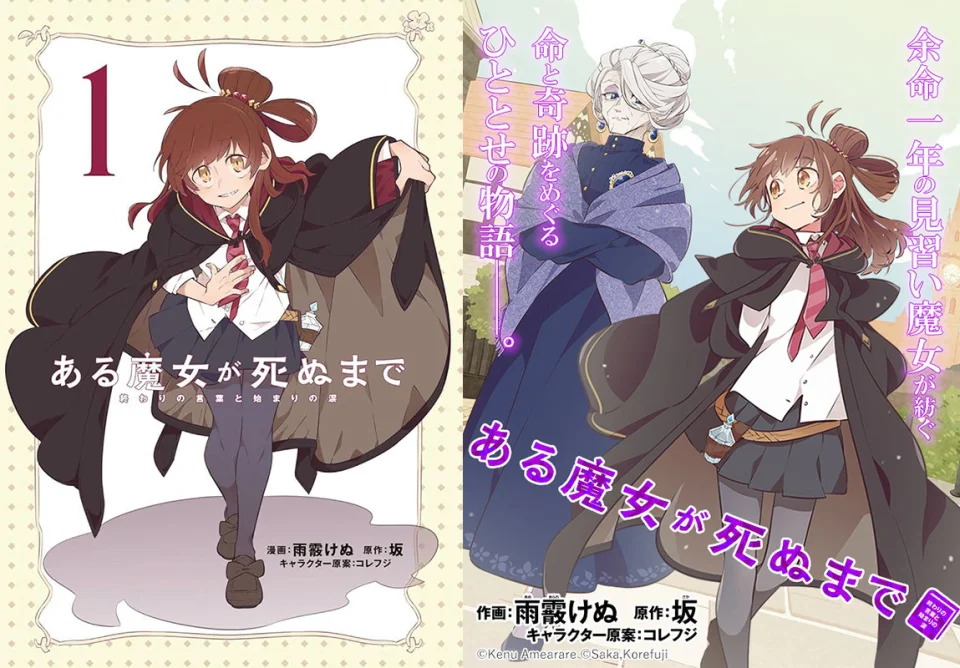 The light novel Aru Majo ga Shinu adapted into an anime