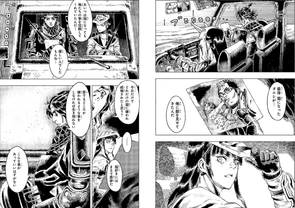 The Night of the Living Cat anime, in video teaser