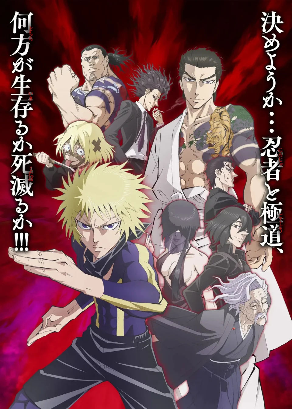 The anime Ninja vs Gokudo, in Teaser Video